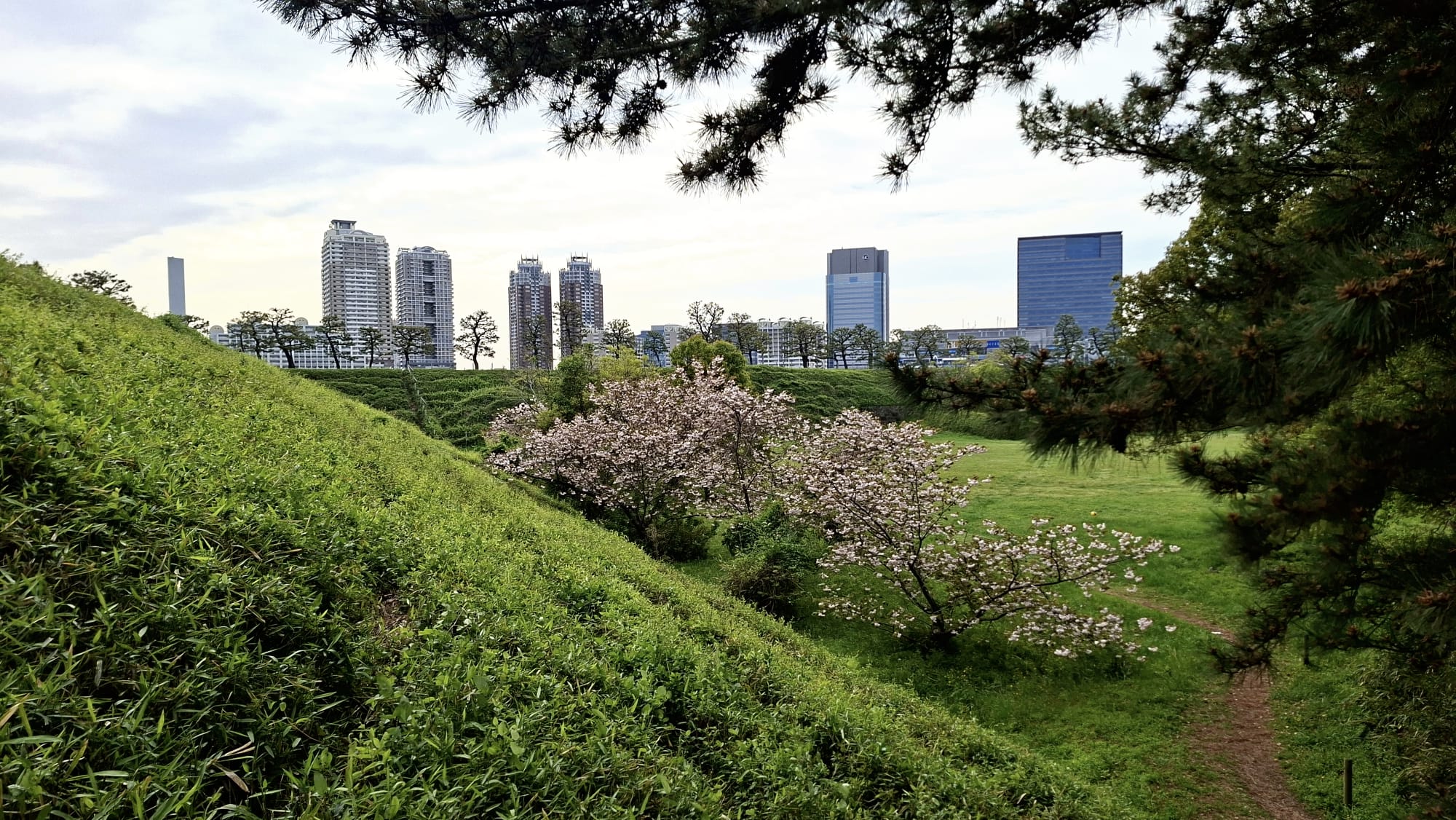 Von Asphalt bis Waldboden: Joggen auf Tokios künstlicher Insel Oidaba