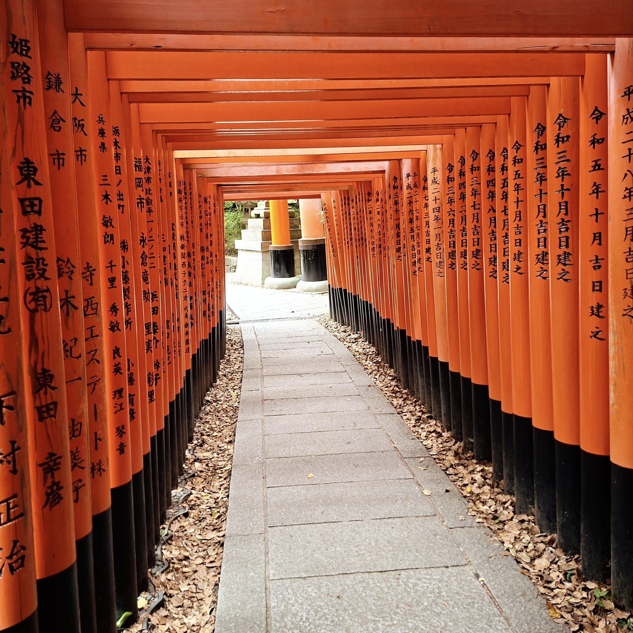 Fushimi Inari-Taisha Schrein in Kyoto: Frühmorgens durch die 1.000 roten Tore