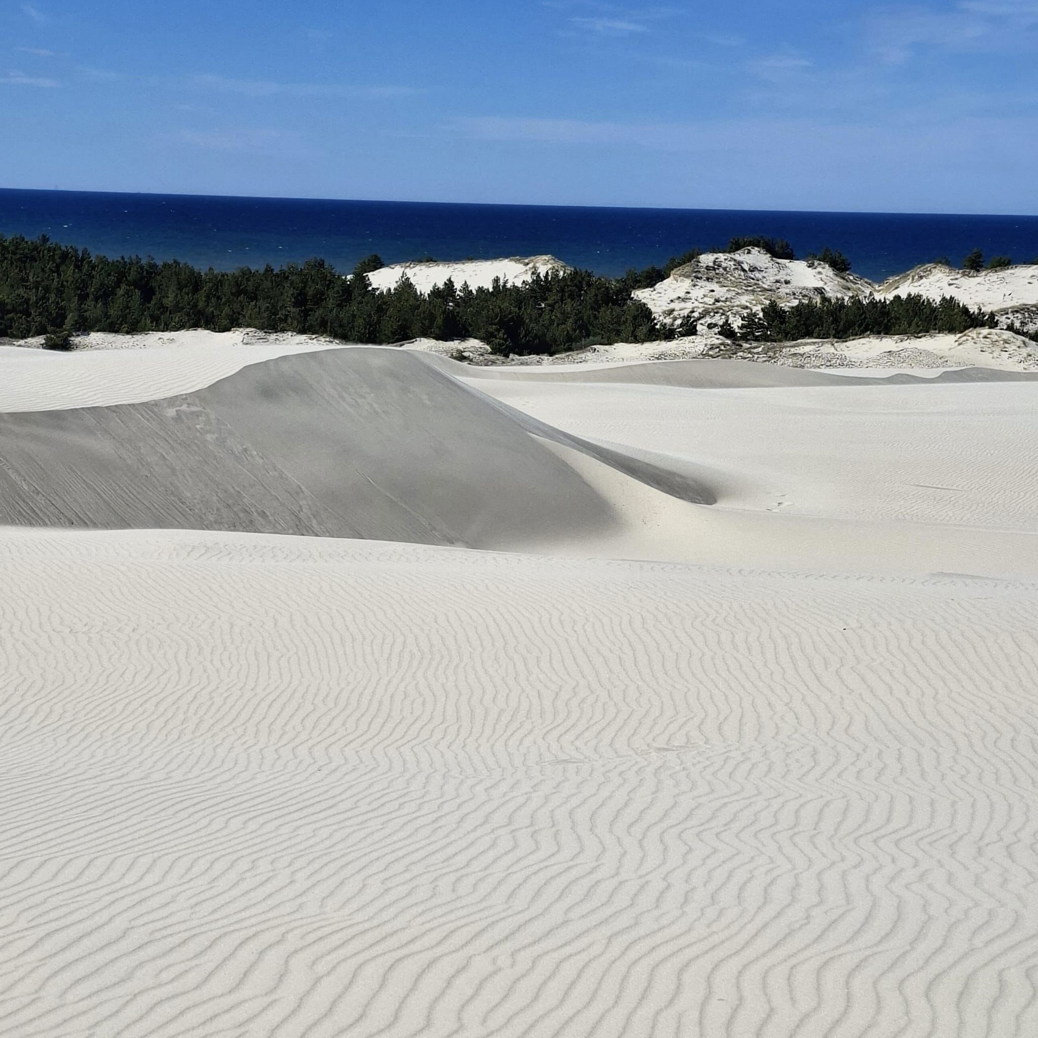 An der polnischen Sahara – die Dünen von Leba
