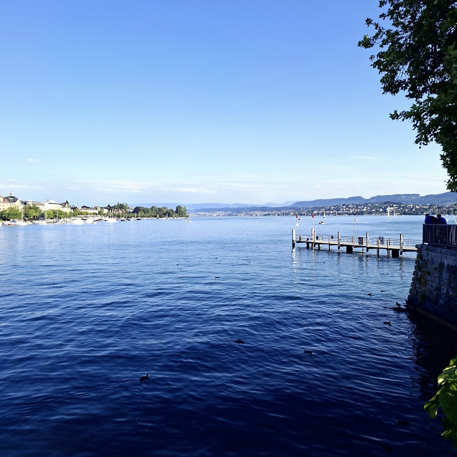 Zürich, heiß & blau